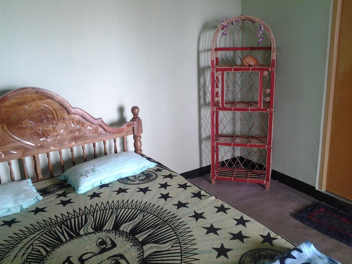 Dolphinchilling Hotel Alankuda Bagian luar foto