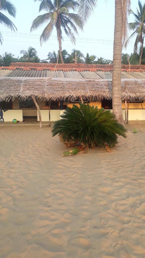 Dolphinchilling Hotel Alankuda Bagian luar foto
