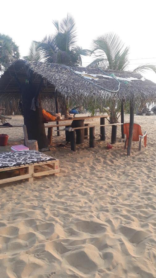 Dolphinchilling Hotel Alankuda Bagian luar foto