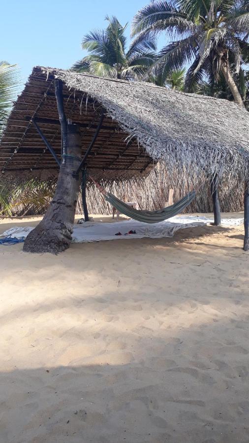 Dolphinchilling Hotel Alankuda Bagian luar foto