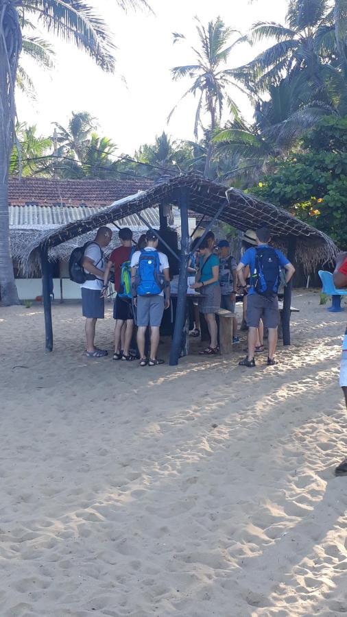 Dolphinchilling Hotel Alankuda Bagian luar foto